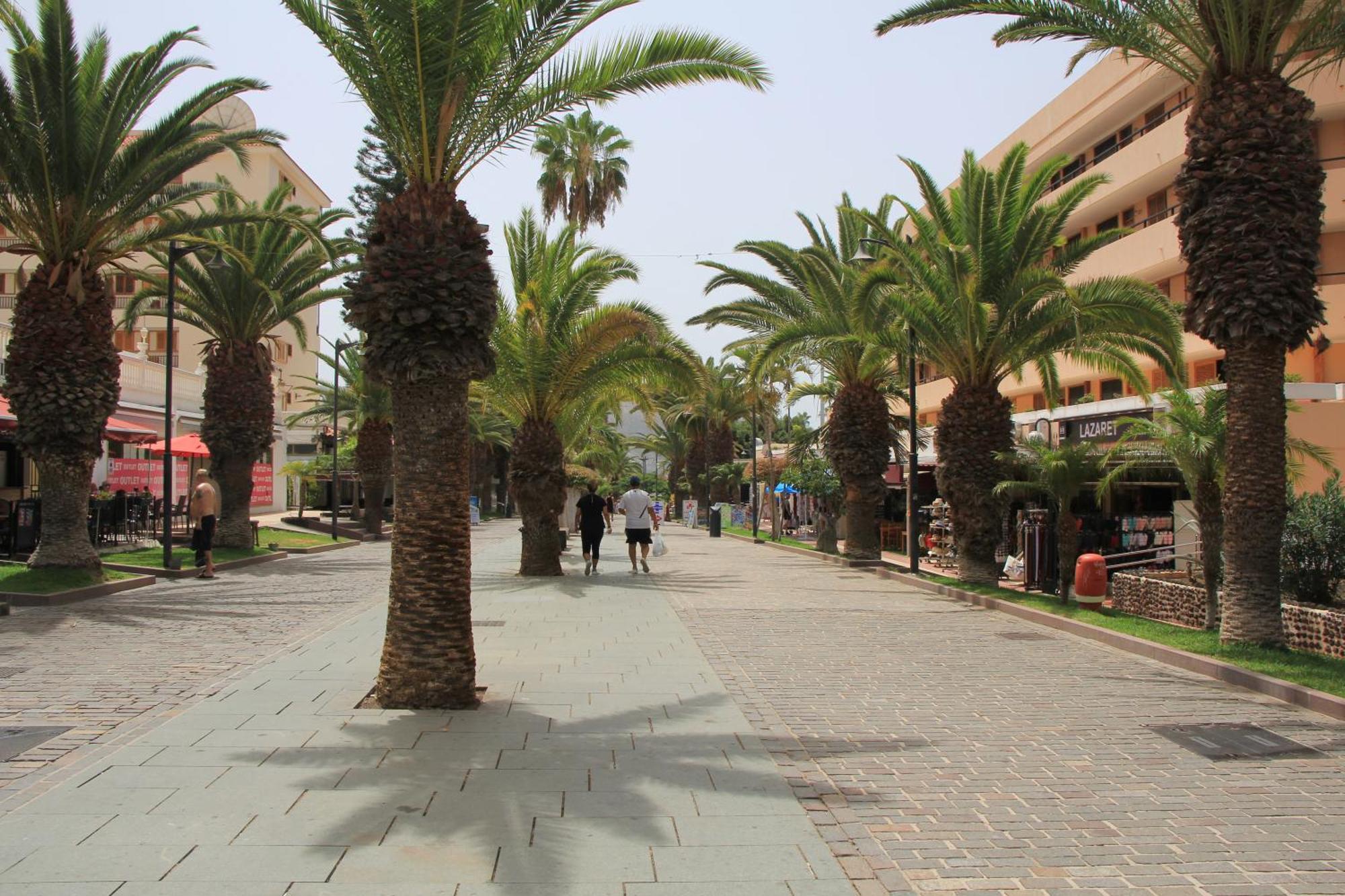 Los Cristianos - Two Bedrooms - Flayla-C Zewnętrze zdjęcie